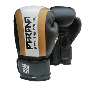 Aura Training boxing gloves