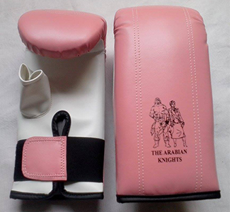 Boxing Bag Mitts