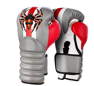 Pro Boxing Gloves