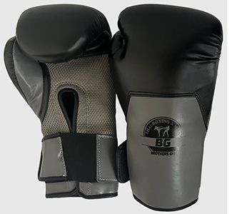 Everlast Boxing Gloves