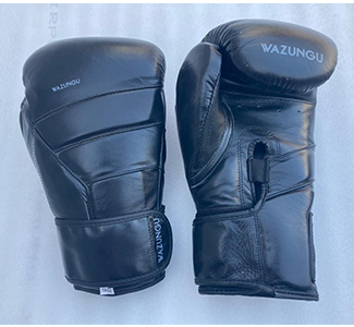 Hayabusa Boxing Gloves