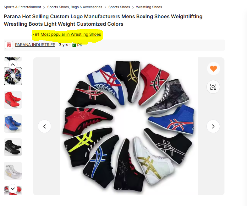 ASICS Wrestling Shoes