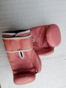 KIds Boxing Gloves